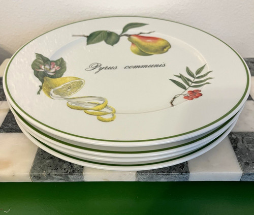 Apilco porcelain dinner plate - apilco,
