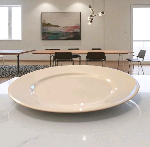 Apilco white porcelain plates - apilco,