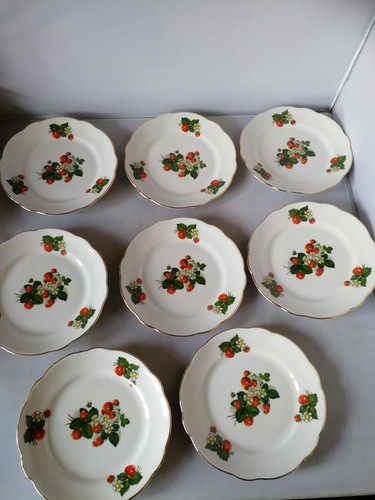 Vintage french apilco wild - vintage,