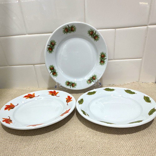 Apilco automne porcelain - apilco,