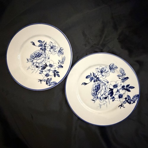 Apilco blue rose toile salad - blue,