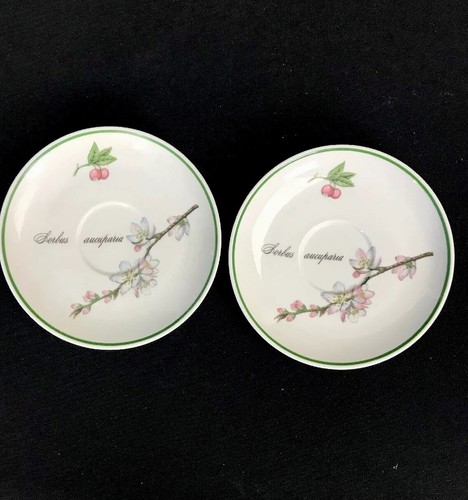 Apilco france porcelaine - apilco,
