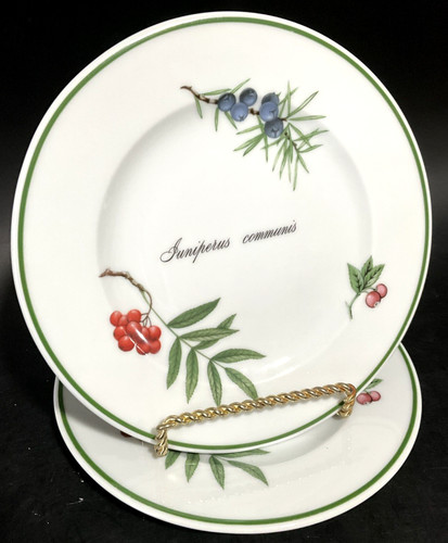 Two apilco porcelain - apilco, elysian